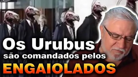 Os Urubus são Comandados pelos Engaiolados - Gilberto Rissato 30 10 2022