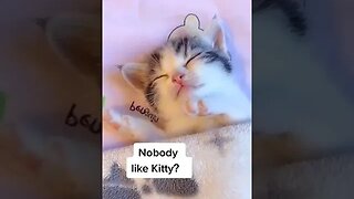 Awwwhh SOO Cute !!!!! Cute Kittens / Cats 🥰🥰🥰 #youtubeshortsviral #viral