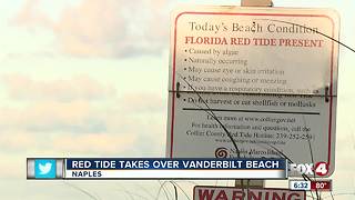 Red Tide takes over Vanderbilt Beach