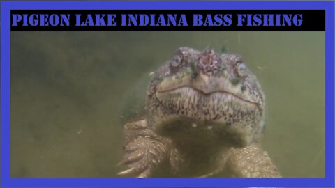 Pigeon Lake Indiana Bass Fishing
