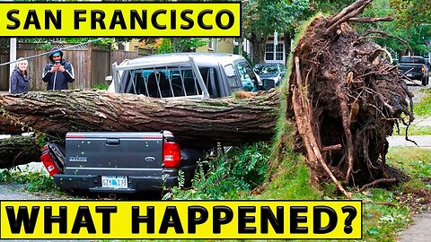 🔴Toppled By High Winds Trees Kill 5 in California!🔴Big Hail in China\Disasters On March 21-22, 2023