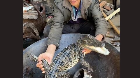 Cooking giant crocodile 🐊 😱