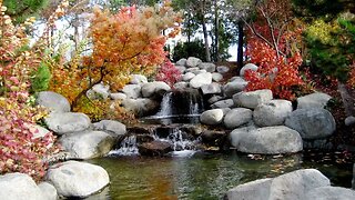 Water Sounds/ rivers & streams, 1hr meditation, Sleep, Study, Relax, Reduce Stress, help insomnia