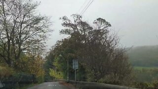 Foggy Autumn Drive