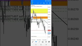 live forex trading #shorts
