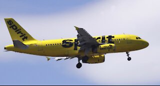 Reports: Woman died of COVID-19 on Spirit Airlines flight