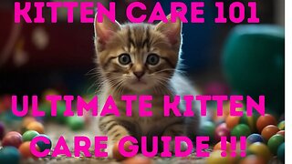 Complete Guide to Kitten Care: Feeding, Socialization, and Health Tips for Raising Happy Kittens