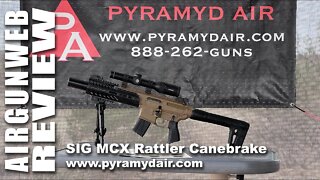 AIRGUN REVIEW - SIG MCX Rattler Canebrake - Shot Count, Accuracy, Power, Trigger Pull!