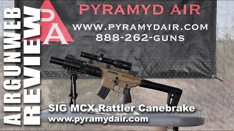 AIRGUN REVIEW - SIG MCX Rattler Canebrake - Shot Count, Accuracy, Power, Trigger Pull!