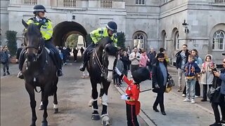 Frank the soldier meets a met police horse #horseguardsparade
