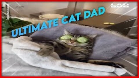 Viral Ultimate Cat Dad Video - Best Cat Dad Ever ❤😸