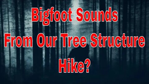 Did We Capture Bigfoot Sounds On Our Tree Structure Hike?