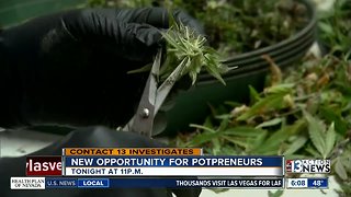 Preview: Pot franchises are a growing business