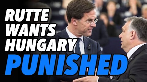 Dutch PM Rutte wants to bring Orban, "Hungary to its knees"