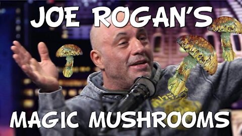 Joe Rogan's Magic Mushrooms