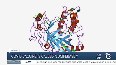 Fact or Fiction: COVID-19 vaccine called Luciferase?