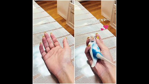 The Relationship Between Human Hand And parrot 2
