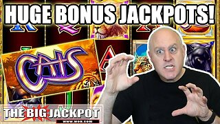 🐯 Cats Slots Jackpots on Huge $150 Bets 🐯 High Limit IGT Slots from Las Vegas!