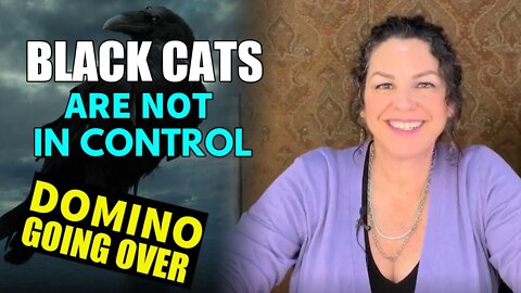 TAROT BY JANINE [ DOMINOES GOING OVER ] ☀️ - THE BLACK CATS ARE NOT IN CONTROL