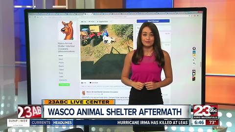 Wasco Animal Shelter Update