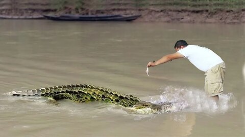 The Terrifying Last Seconds Of Luan Nam: Eaten By 40 Crocodiles