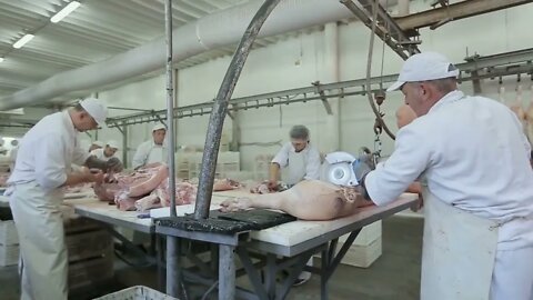 Butcher Cutting Pork Meat in Meat Factory. Fresh raw pork chops in meat factory. Meat processing in