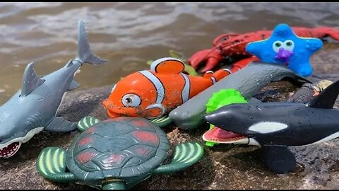 Sea animals toys