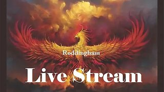 Battlefield 5 Livestream