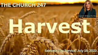 The Church 247 | Harvest | Apostle Hellena Horsley | July 15, 2023