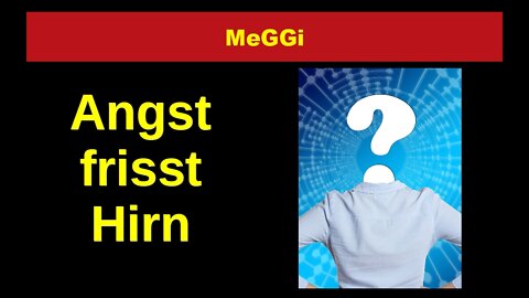 MeGGi - Angst frisst Hirn