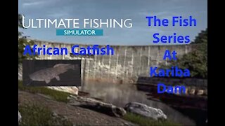 Ultimate Fishing Simulator: The Fish - Kariba Dam - African Catfish - [00068]