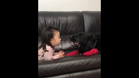 Little girl feeds dog a treat, cleans up the mess