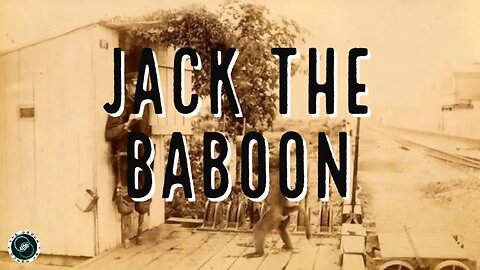 Jack the Baboon | Ep 29 | History & Mythology | The World of Momus Podcast