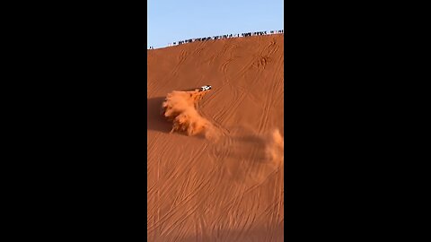 Desert Safari of Dubai