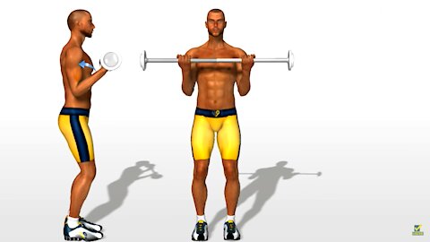 How To Do A Barbell Biceps Curl Exercise