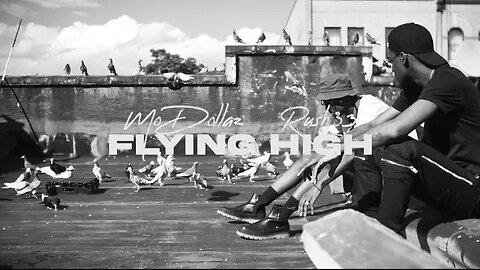 Mo Dollaz - Birds Flying High ft. Rush33 {Official Video}