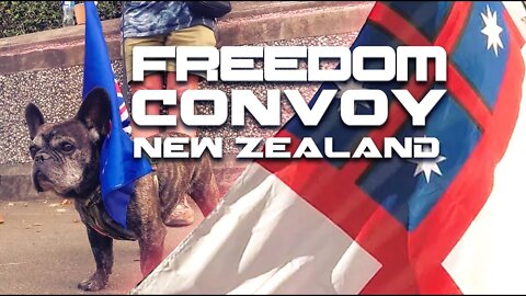 Freedom Convoy 2022 - New Zealand - [Day 19] [Feb 26 2022]