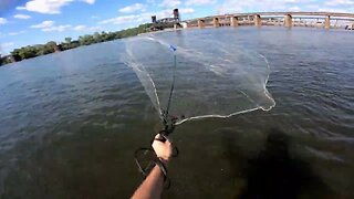 Catching Bait From the Shore on the Tennessee River