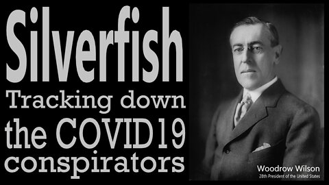 Silverfish: Tracking Down The COVID19 Conspirators