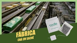 Chá de Saquinho: Como é Feito a Sua Fabricação