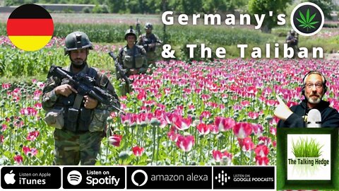 Taliban Collaborates with German Cannabis Company