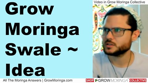 Grow Moringa on a Permaculture Swale for Key-lining and Regenerative Agriculture Syntropic Forestry