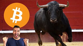 BTC Bulls Are Back In Town? - Crypto Market Update