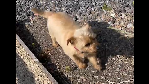 Met the cutest little seal pup, Dolly, in the Peak District… those eyes!!! ~ Animal spotting