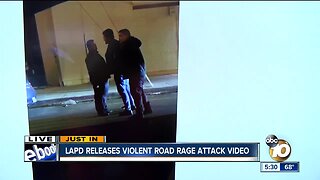 Graphic: LAPD releases road rage video