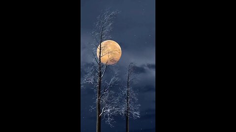 Nature Beauti Nature Beautifull Video| Night Beutifull video| Moon Beautifull Video