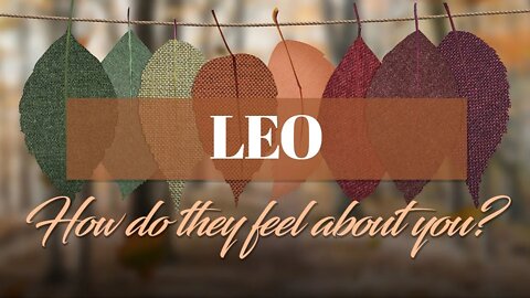 Leo♌ They finally freed themselves & now you both get to have a chance at LOVE!