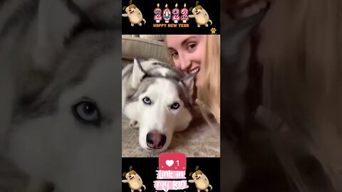 29_😂🐶😂 Baby Dogs - Cute and Funny Dogs Video 😂🐶😂 (2022)