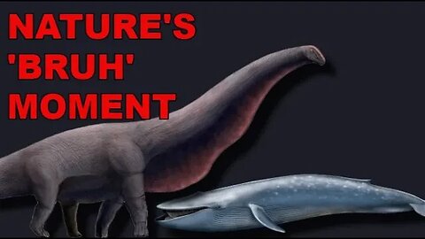 A Dinosaur The Size of a Blue Whale? Bruhathkayosaurus matleyi
