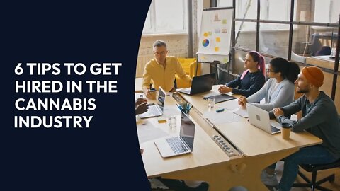 6 Tips to Get Hired in the Cannabis Industry